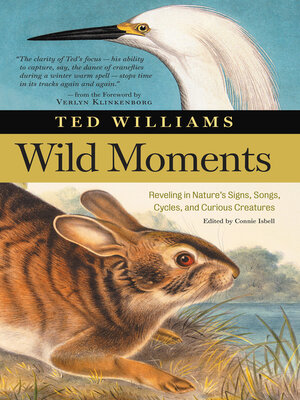 cover image of Wild Moments
